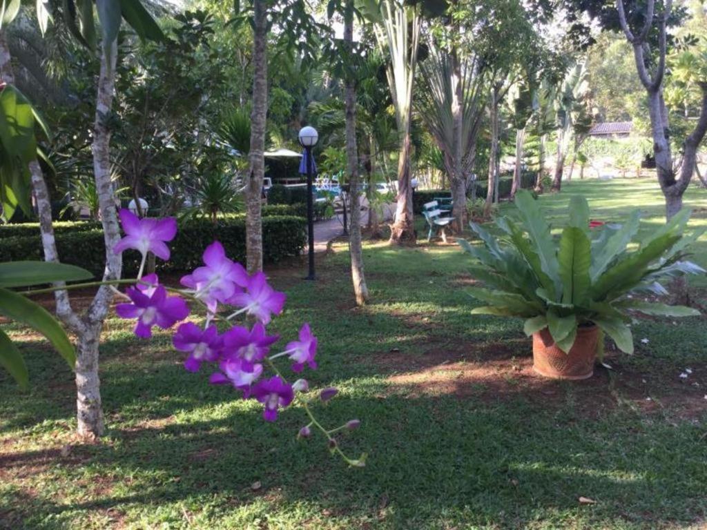 Wild Orchid Villa Krabi Ао-Нам-Мао Экстерьер фото
